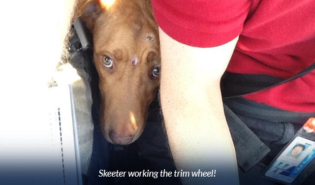 Skeeter working the trim wheel!