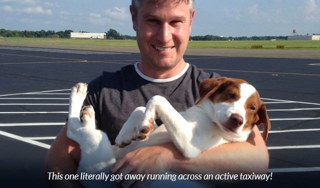 This one literally got away running across an active taxiway!